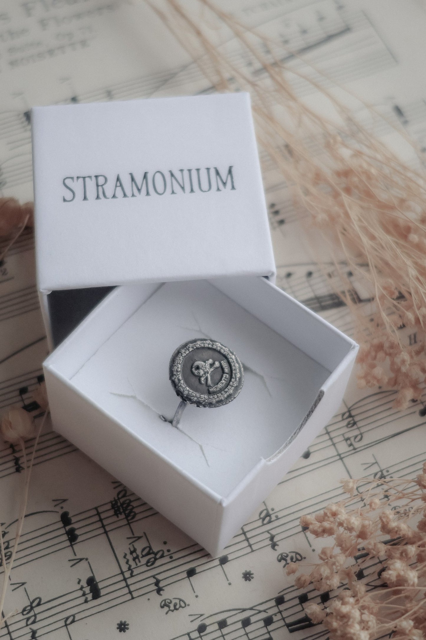 Memento Mori - Adjustable Ring - Ready to Ship