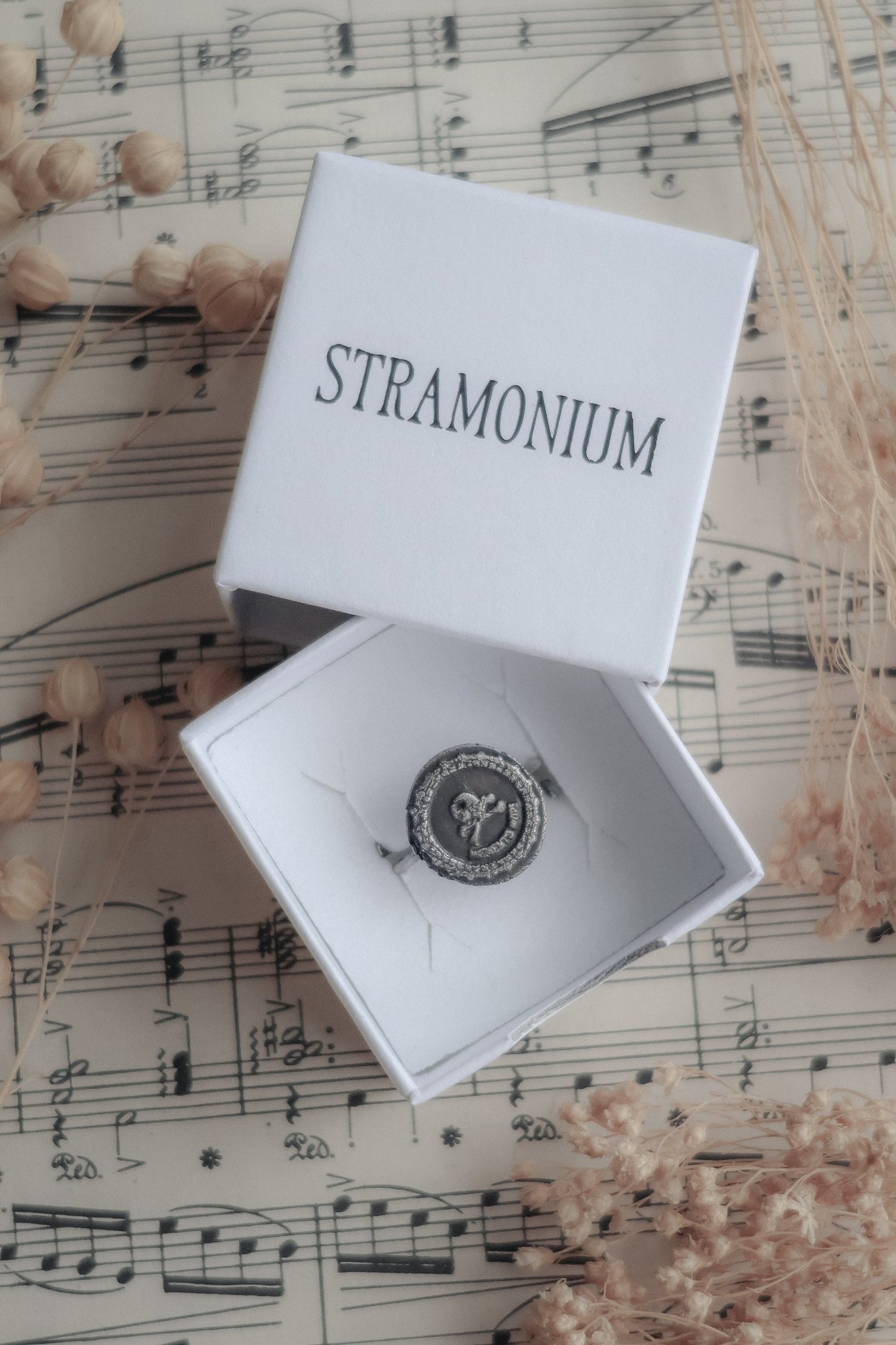 Memento Mori - Adjustable Ring - Ready to Ship